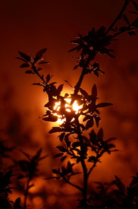 2013-05-10 22-45-16-84