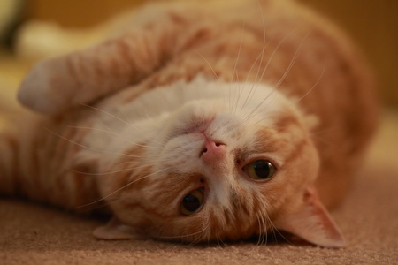 2016-01-04 22-59-20-27