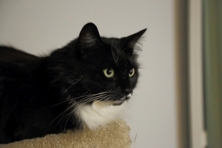 2016-04-28 20-28-05-33