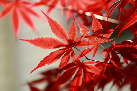 2016-05-28 13-54-51-00