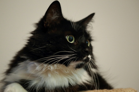 2016-06-12 19-31-25-00