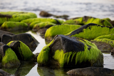 2016-08-24 18-33-39-00