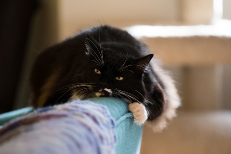 2016-10-15 11-40-31-00