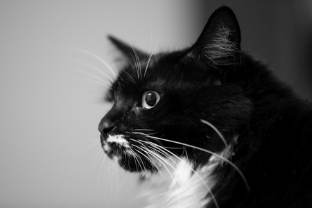 2016-11-28 00-20-11-61