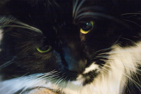 2016-07-26 18-01-55-00