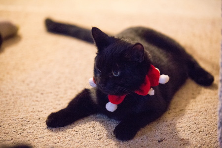 2017-01-11 19-05-28-77