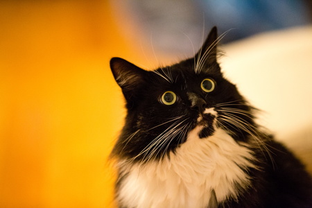 2017-01-30 20-46-53-00