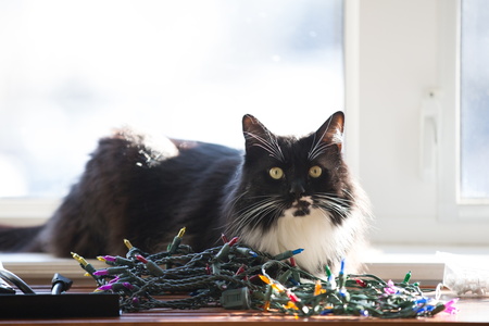 2017-02-04 10-52-19-68