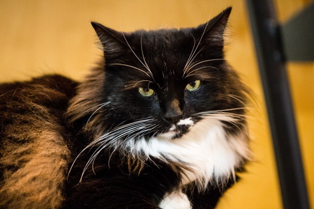 2017-02-25 16-46-30-01