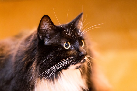 2017-03-27 22-06-21-75