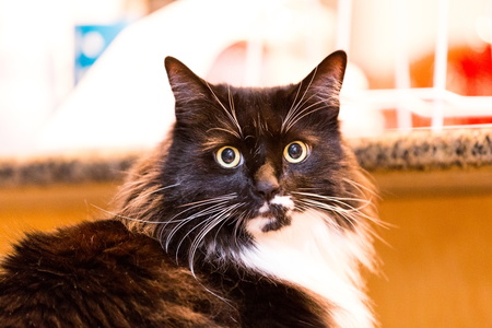 2017-03-27 22-12-52-00