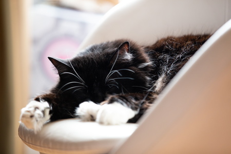 2018-04-14 12-58-27-00