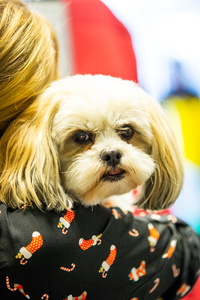 2018-12-06 16-02-41-00