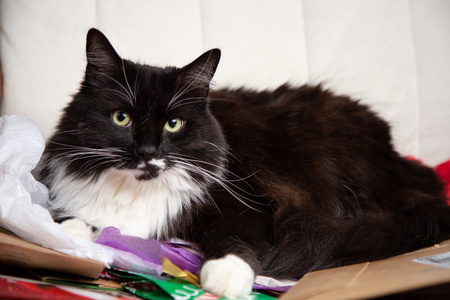 2019-01-12 16-45-11-00