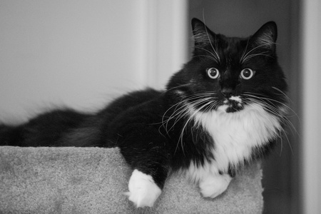 2019-02-08 20-00-37-00