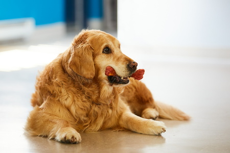 2019-06-14 14-02-57-00