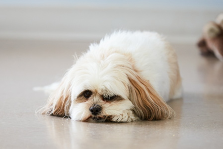 2019-06-14 14-03-26-00