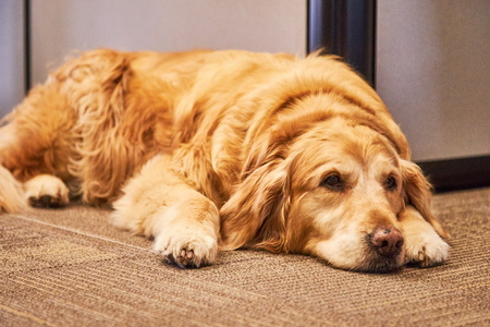 2019-12-06 13-48-47-97