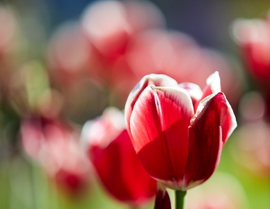 2019-06-10 16-03-09-00