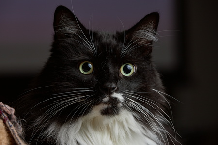 2019-11-15 22-24-04-79