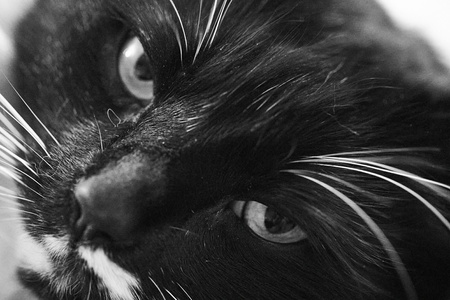 2020-03-21 20-08-32-79