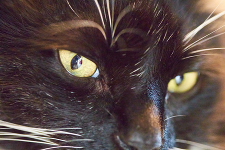 2020-03-30 13-29-14-14