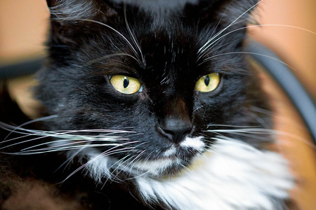 2020-03-30 15-26-40-88