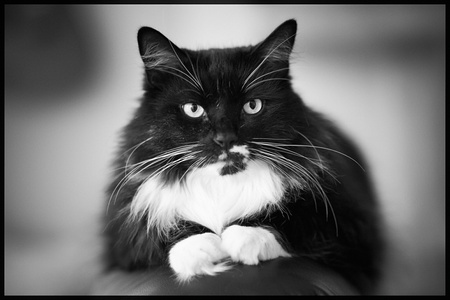 2020-06-15 20-14-05-59