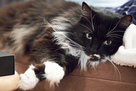 2020-10-25 19-54-04-31