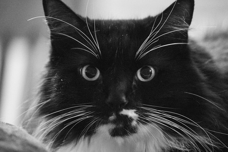 2020-12-08 19-43-08-69