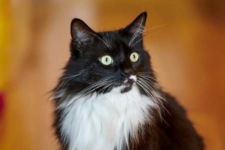 2020-12-18 09-28-06-93