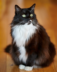 2020-12-18 09-28-15-74