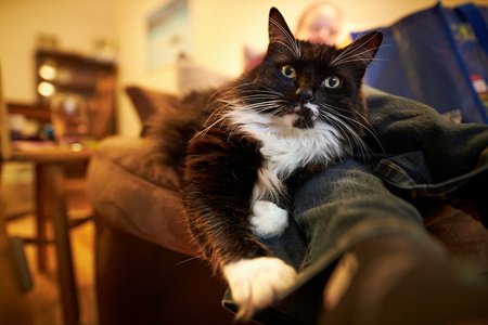 2021-02-06 17-33-28-61