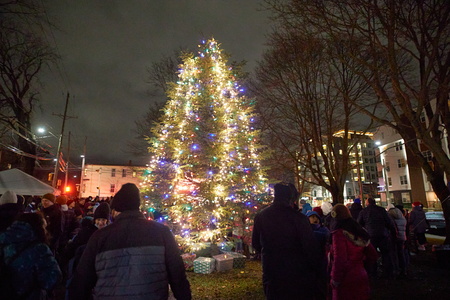 Veith House Tree Lighting