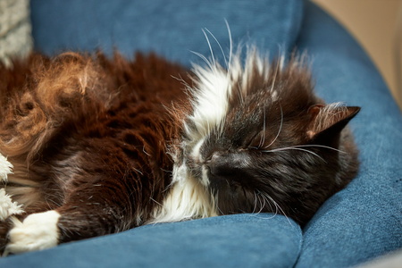 2021-05-28 15-17-54-61