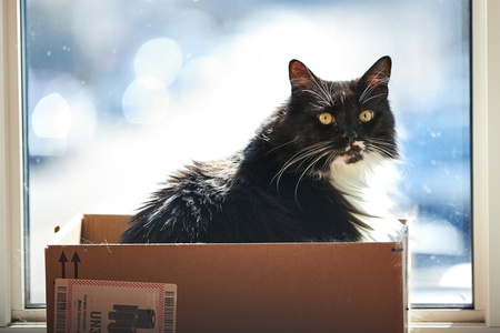 2022-04-03 10-11-07-07