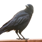 2022-04-06 09-50-42-43