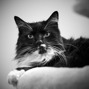 2023-03-08 18-58-15-26