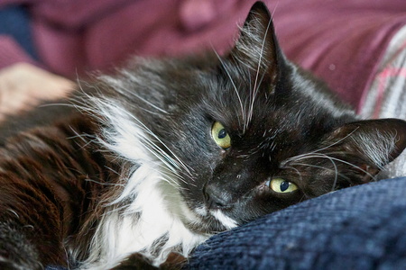 2023-02-11 14-15-26-01