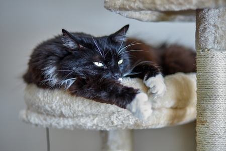 2023-03-03 12-20-22-00