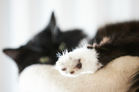 2023-08-19 15-21-12-33