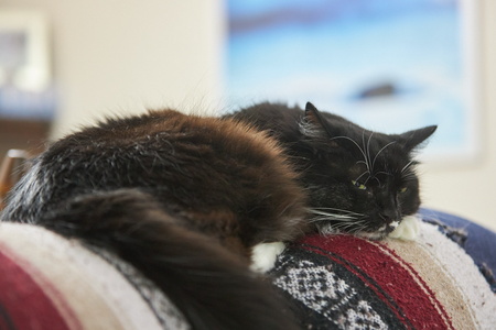 2023-06-04 10-55-33-26 1